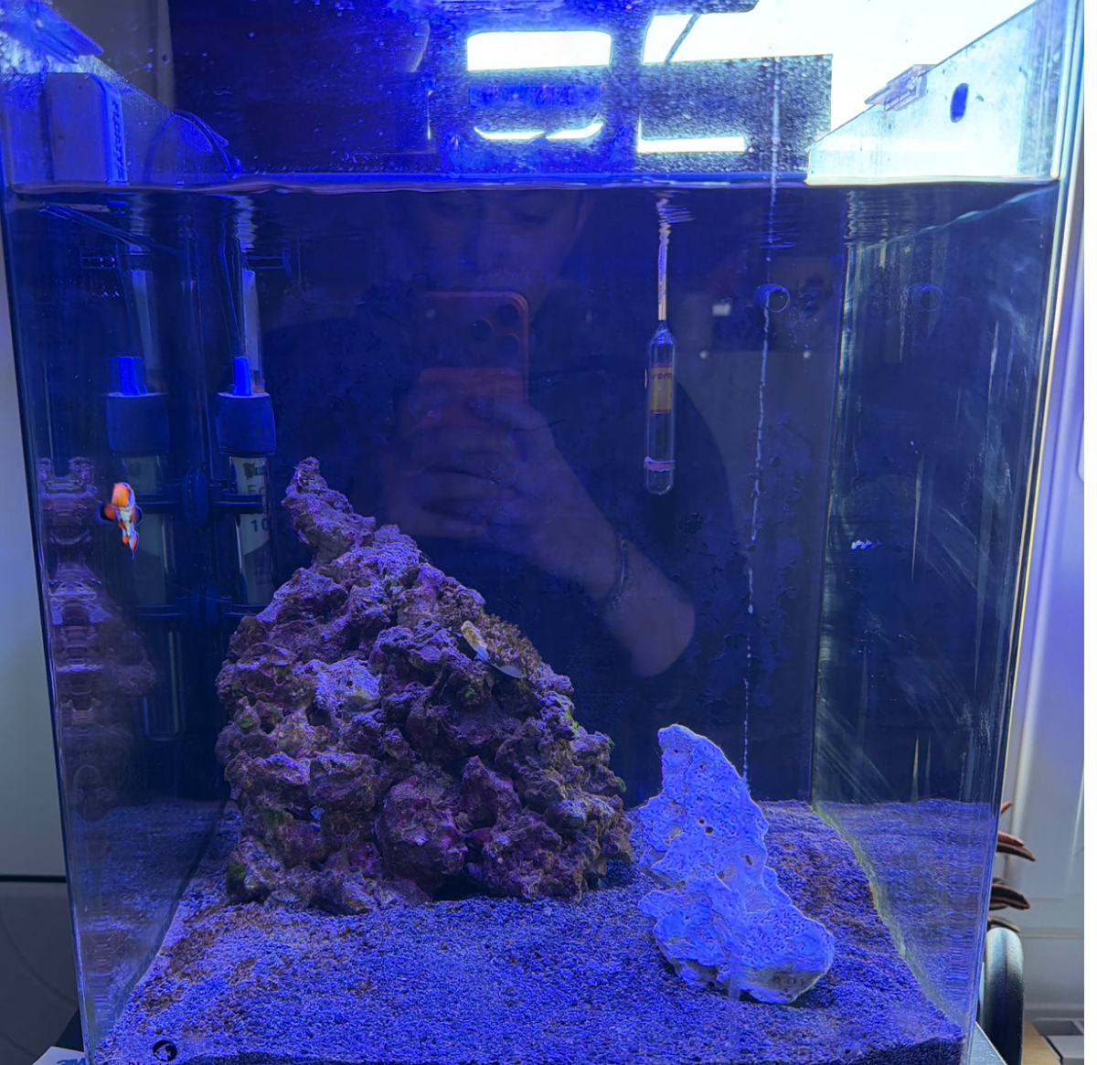 Reef 60L