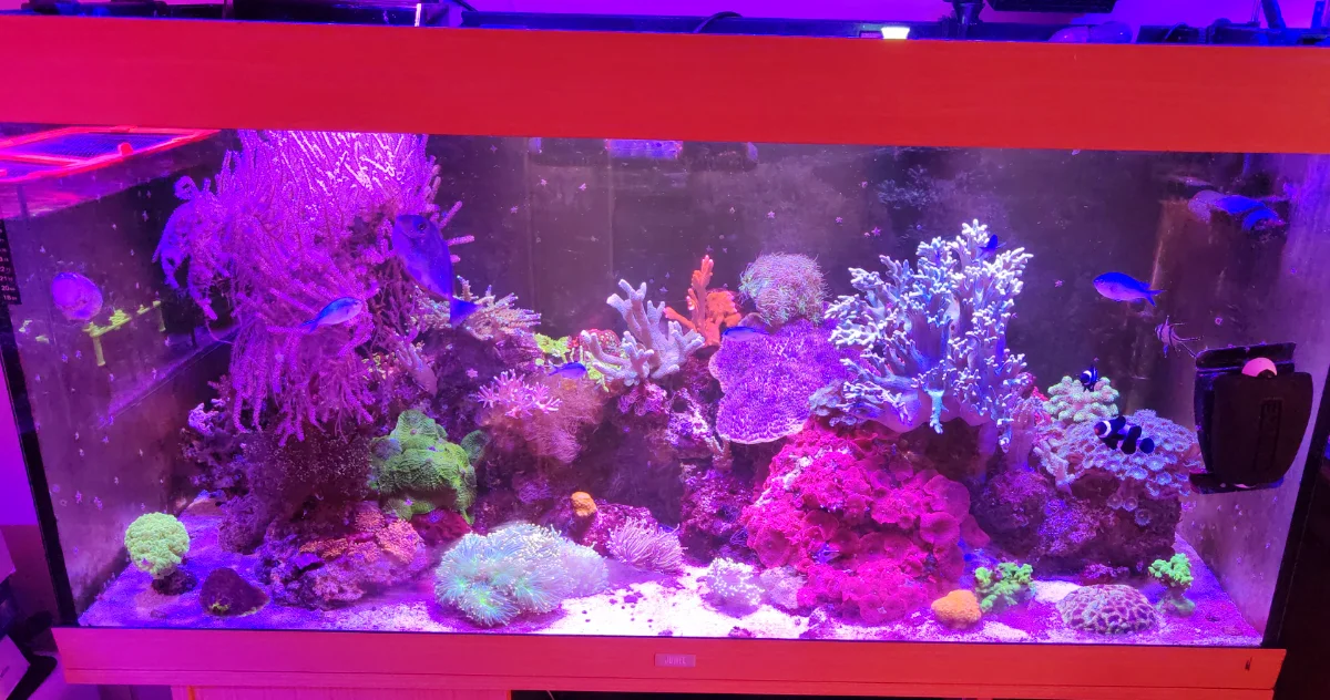 450l