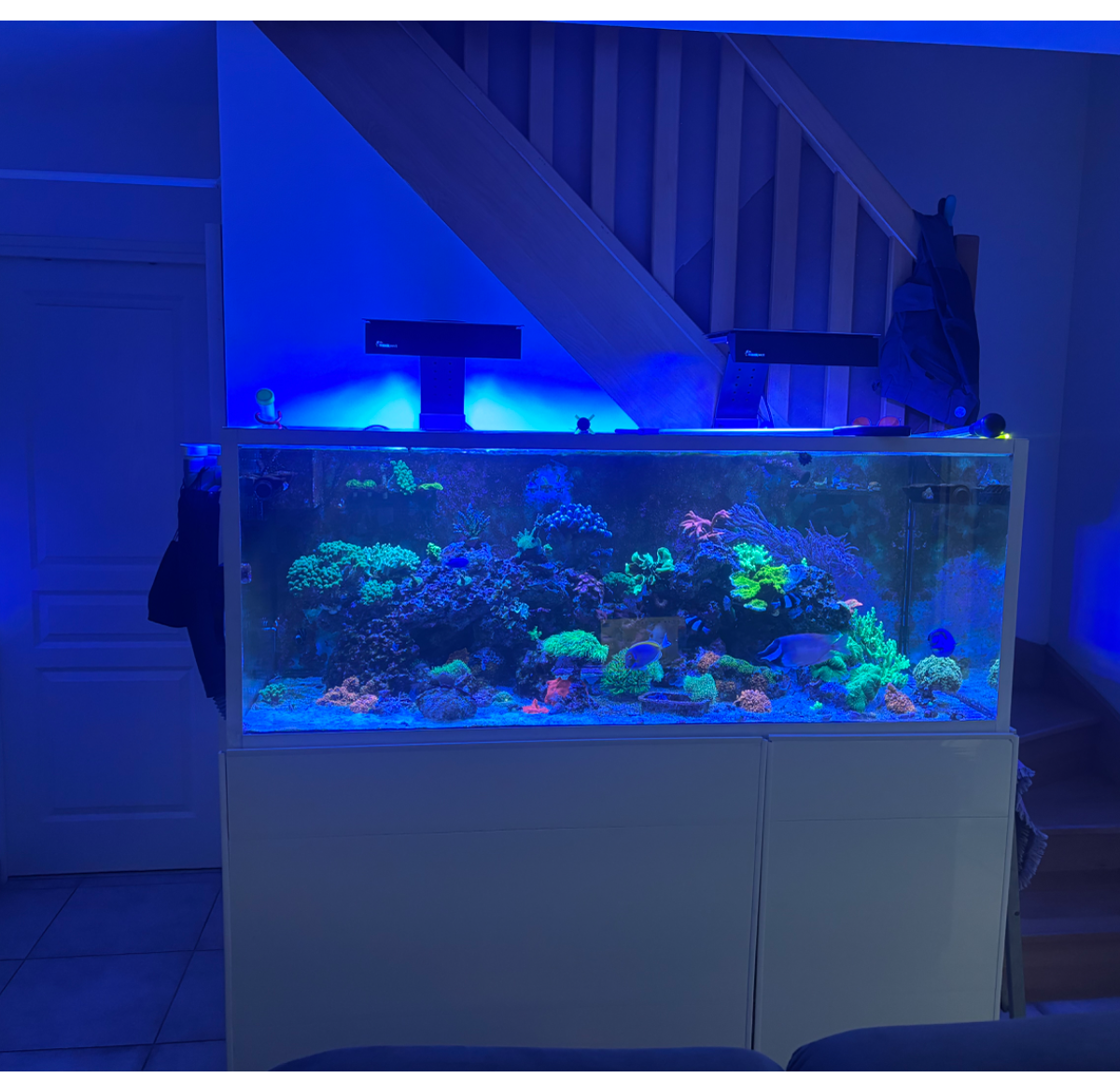 650 l