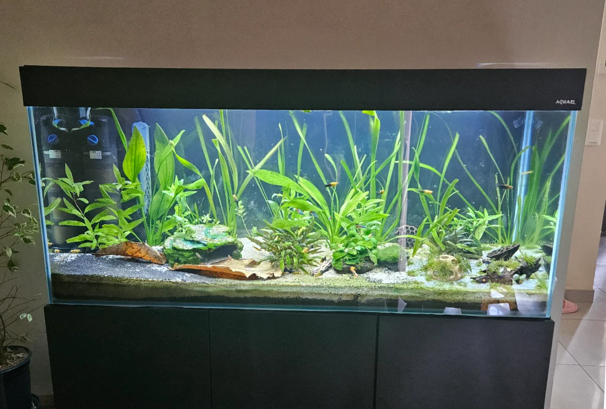Aquarium