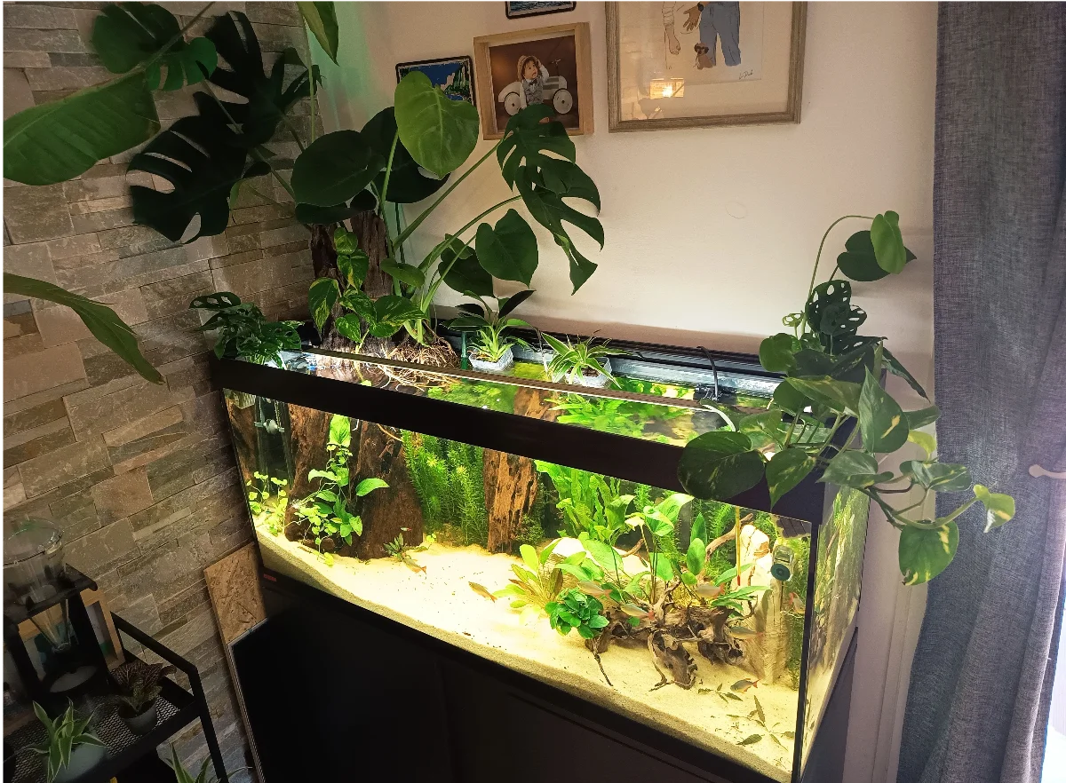 Riparium 200L
