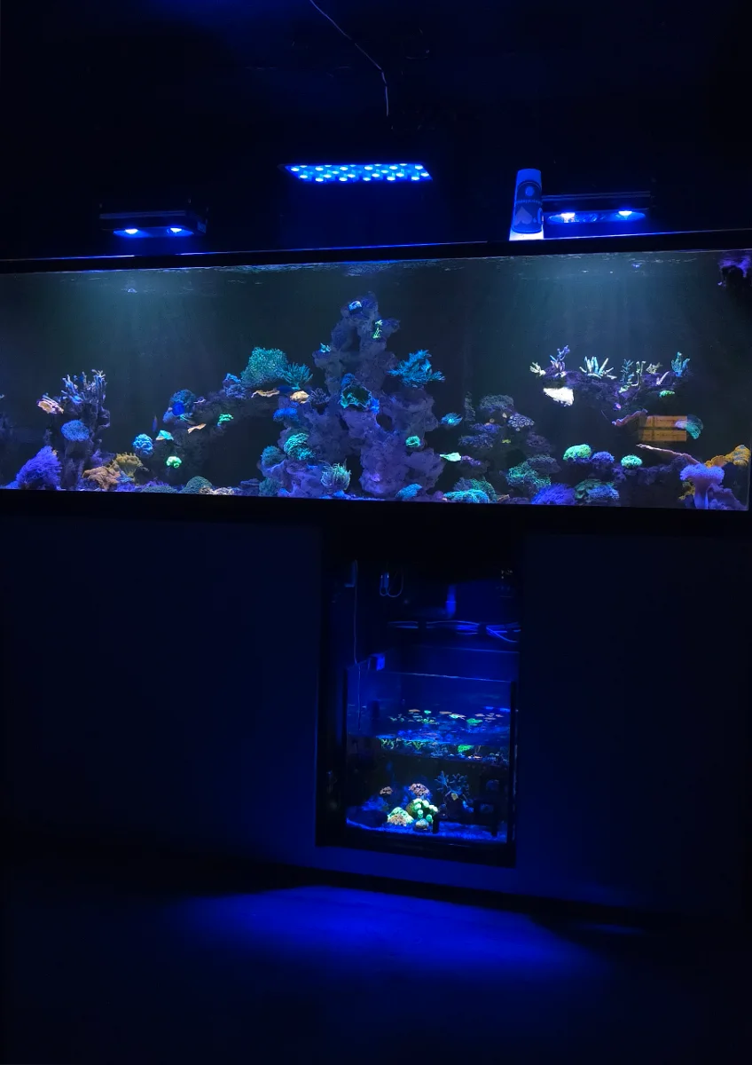 RED SEA REEFER 900 3XL