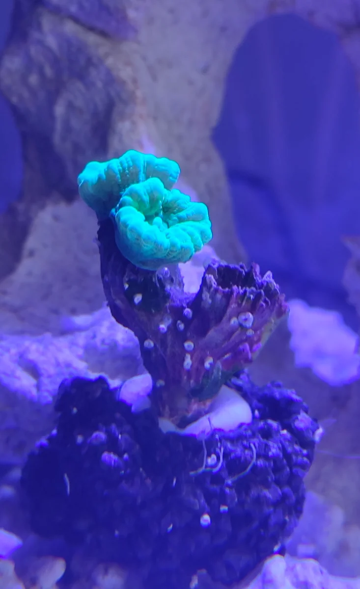 Photo a l'arrivée de MasterFish